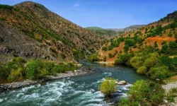 Mehkema îptal kerd; Çemê Sarimî do azad biherîkîyo