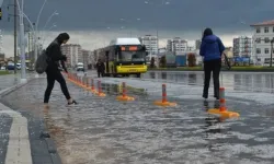 Zaf şaristanan de varanêko zêde do bivaro