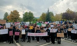 ÇEWLÎG – Wendekaran şîddetê vera cinîyan protestoyo kerd