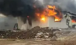 Xarpêt de Konteynirê Karkeran Veşayî: Hirê Birîndarî