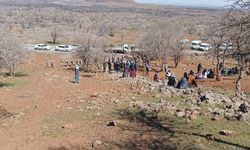 Amed de şarê dewe vera viraştişê madenî xo ver da, cendeme midaxele kerd