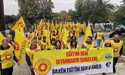 Serdozgerîya Stenbolî derheqê Egitim Senî de tehqîat da dest pêkerdiş