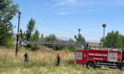 Beledîyeya Darahênî cayê Îtfaîye rot!