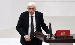 Namzedê DEM Partî yê Serekîya Meclîsî eşkera bîyo