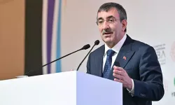 Cevdet Yılmaz: Rîyê şerî ra 2 trilyon dolar zerarê Tirkiya bîyo