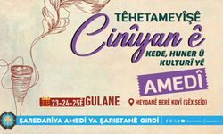 Bernameyê Têhetameyîşê Kede, Kultur û Hunerî yê Cinîyanê Amedî