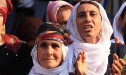 Amed de seba Roşanê Ziwanê Kurdkî çend aktîvîteyî virazîyenê