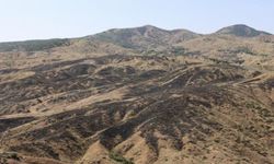 Adiro ke Darahênî de vejîya vila nêbi