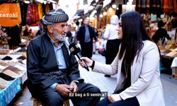 Zazakî Newsî ra bi hişa viraştî vîdeoyêk