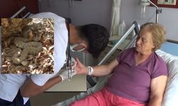 Dêrsim de marî demê îbadetî de cinîye gaz kerde