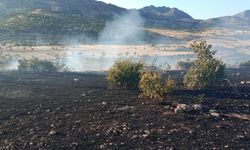 Pîran de adir kewto daristanan