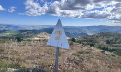 Dêrsim de des hezar mayînî estê: Şar binê talûke de yo!