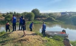 Amed de yew xorto ke waşt birayê xo bixelisno, royê Dîcleyî de vînî bi
