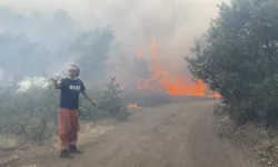 Eskîşehîr de felaket: Adirê daristanî de 10 karkerî  merdî