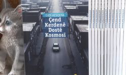 Weşanxaneyê Roşna ra yewna kitabo Zazakî
