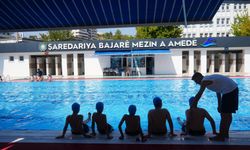 Amed de kursê Sporî yê hamnanî dest pêkerd