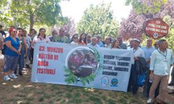 Bîrsen Orhane Mikaîl Aslan îşaret kerd: Karakterê Festîvale nêbedelîyeno