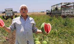 Zebeşê namdarî yê Dîyarbekirî vejîyayê