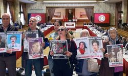 Komîsyon do ewro goşdarîya Dayikanê Şemeyî bikero