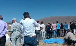 Çolîg: Kalo ke şîyêne weverê rayîrî erebe da piro, merd