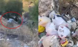 Dewa Selmanî ya rindeke ya Amedî bîya çopxane!