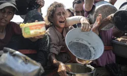 Xeze de felaketê veyşanî: Xela amey îlankerdiş