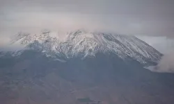 Vewra verêne kewta koyanê welatî ser