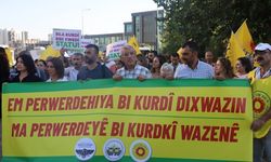 Amed ra vengdayîş: Perwerdeyê bi ziwanê maye heqê ma yo!