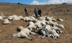 Dêrsim de biluskî da mêşinan ro: 58 mîyî telef bîyî