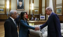 Heyetê DEM Partî û Erdogan pêvînayîş kerd