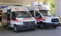 Xarpêt de wesayît da kale 77 ro û merd