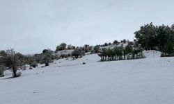 Çewlîg de vewra verêne varaye