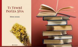 Bi Zazakî romanêk: Ti Tewrê Payîza Şîya