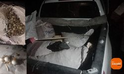 Dersîm: 200 kîlo Sîrê Koyan ame tepiştiş