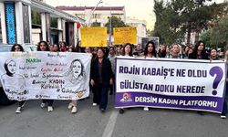 Dêrsim de seba Rojîne Kabaîş edalet ame waştiş