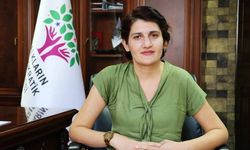 Semra Guzele nêamey veradayîş