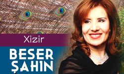 Beser Şahîn, Amed de konserêk dana