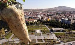Xarpêt de seba dora silqan pêrodayîş: 3 kesî birîndar bîyî