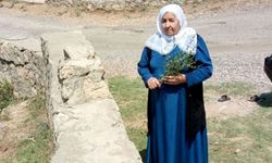 AMED - Dayîka Aştîye Turkan Çelîke wefat kerd