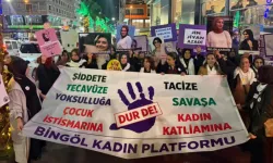 Çewlîg hînî'bêveng' nîyo: Cinîyan şewe roşnî kerde