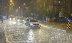 Germîye do bikewo, Amed û Çewlîg de varan vareno