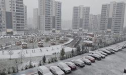 Amed de mektebî seba vewre 1 roj tatîl ê