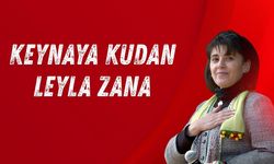 Wezîrê Edaletî ra derheqê heqaretanê Leyla Zana de eşkerayî