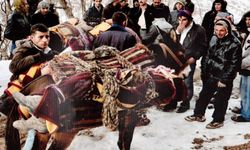 34 canî, 14 serrî û edaleto ke nêame: Qirkerdişê Roboskî