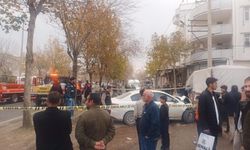 Sêwreg de otomobîl da cinîya ke 15 rojî verî weledîyabî ro: Cinî merde