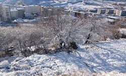 Dewanê Pasûrî de vewre resaye 20 santîmetreyan