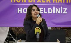 DEM Partî ra cewabê 'Celadî': Ma celadê xo baş şinasnenê