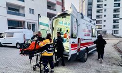 Amed de yew daîreya venge de tirmê cinîyêke ame vînayîş!