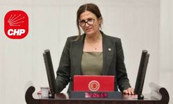 Türkan Elçiye qeydê xo yê Baroya Amedî esterit