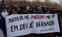 Amed de vera talanê xoza ameyî têhet: Ma xozaya xo nêdanê